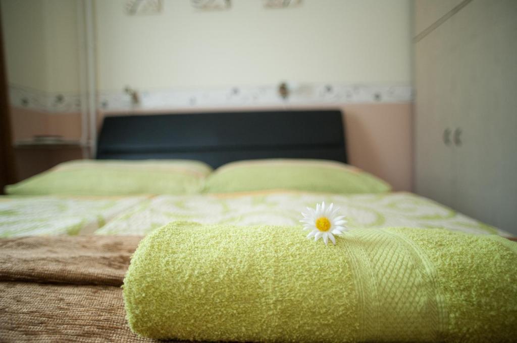 Oleander Apartman Hévíz Extérieur photo